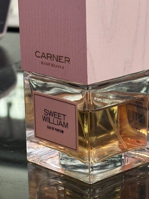 Sweet William